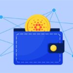 Best Cardano Wallets for Beginners- An Easy-to-Use Guide 2024