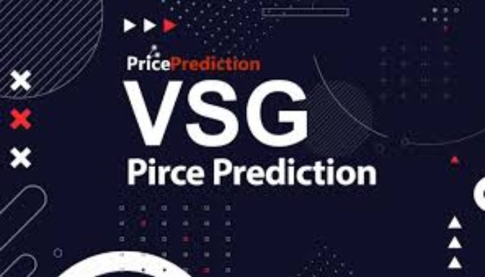 Vitalik Smart Gas VSG price prediction in 2024