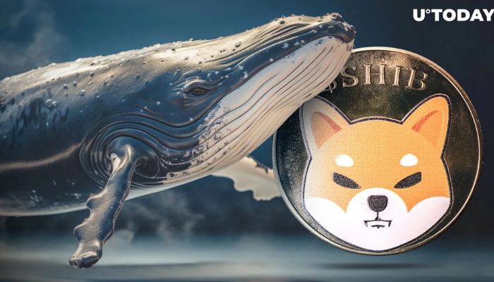 Shiba Inu cryptocurrency surges as whale investor injects $19.26 million
