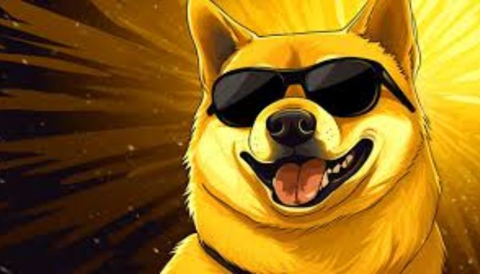 Doge In Glasses (DIG) price prediction for 2024 and 2025